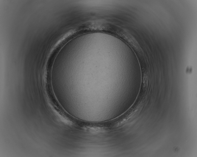 X0000094440722200711211455