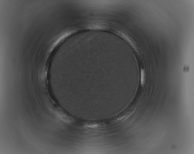 X0000094440723200711211455