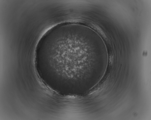 X0000094440724200711211455