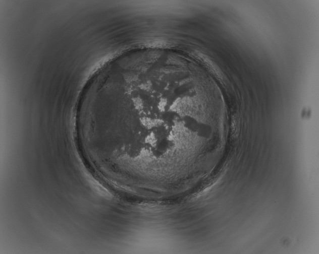 X0000094440725200711211455