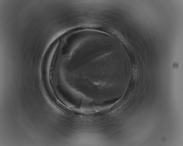 X0000094440726200711211455