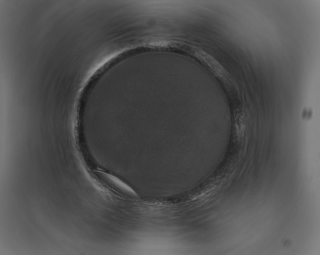 X0000094440728200711211455