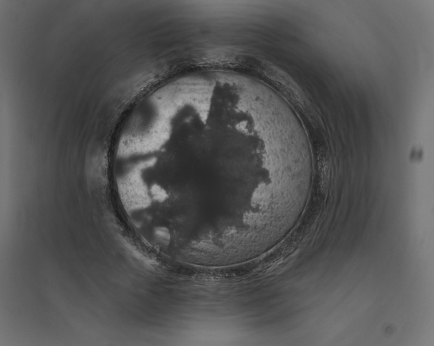 X0000094440729200711211455