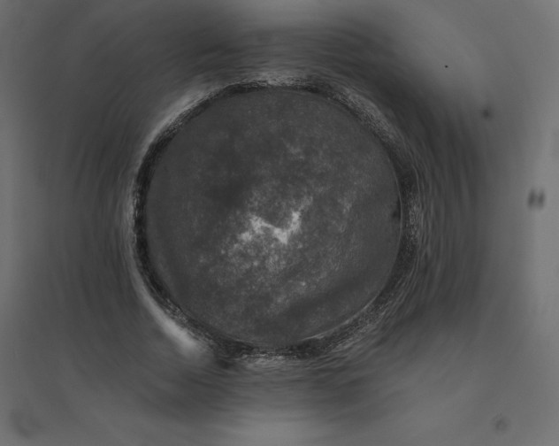 X0000094440730200711211455