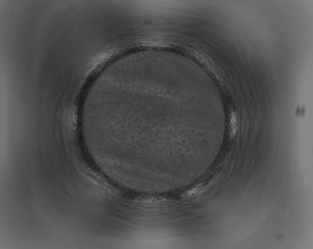 X0000094440731200711211455