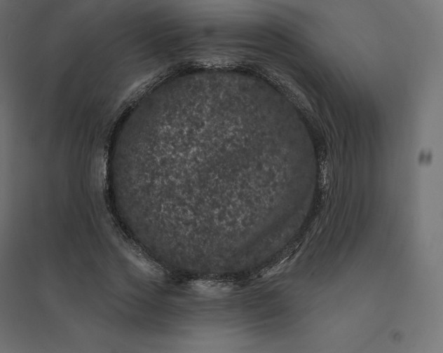 X0000094440733200711211455