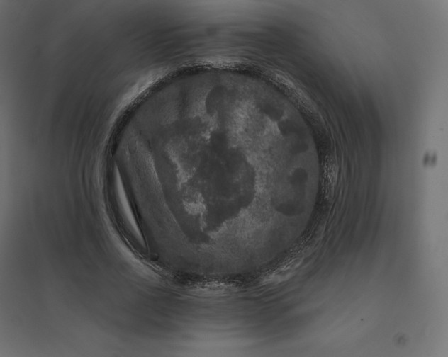 X0000094440734200711211455