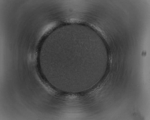 X0000094440735200711211455