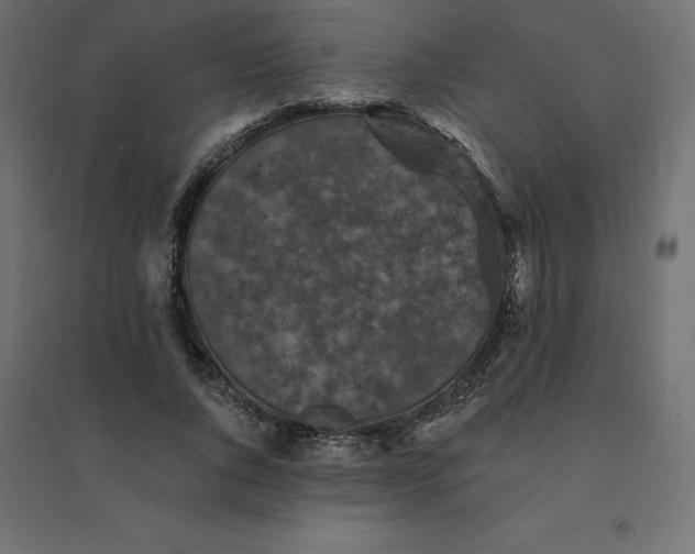 X0000094440736200711211455