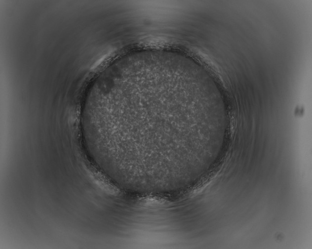 X0000094440737200711211455