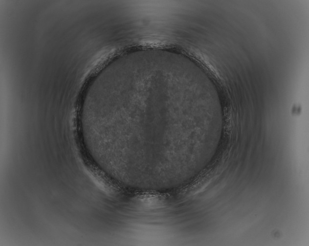 X0000094440738200711211455