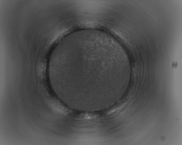 X0000094440739200711211455