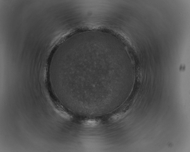 X0000094440740200711211455