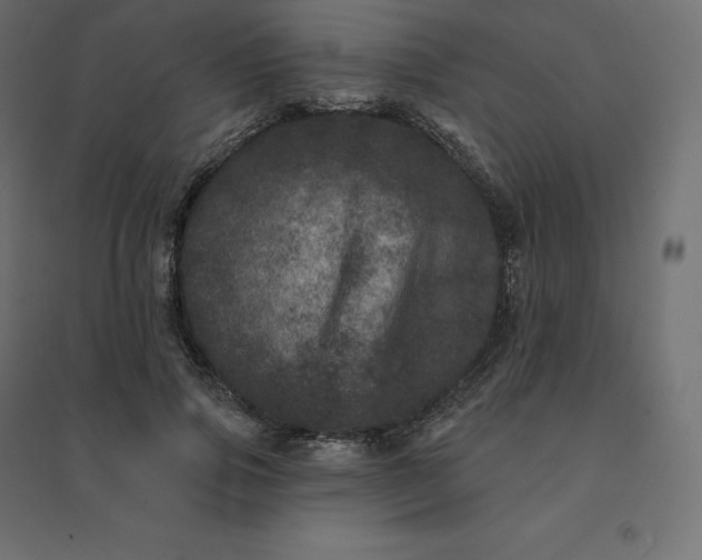 X0000094440741200711211455