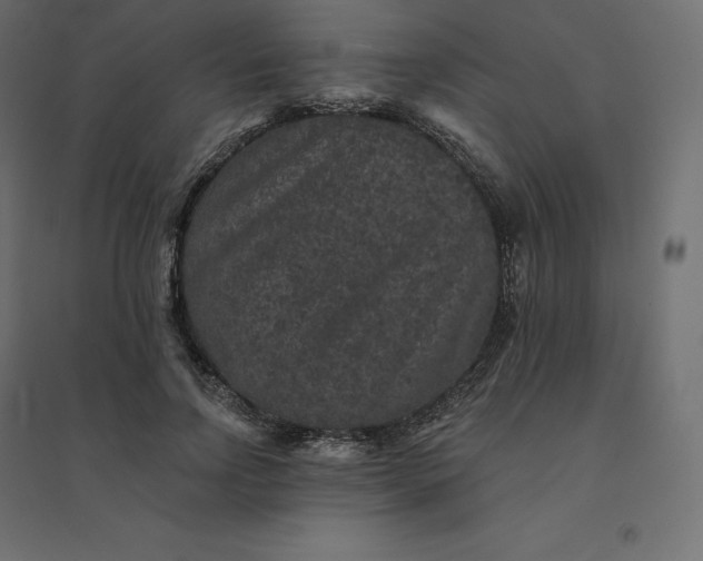 X0000094440742200711211455