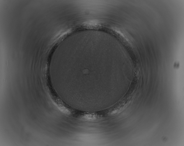 X0000094440744200711211455