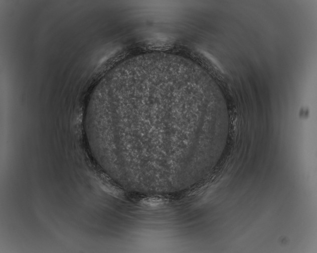 X0000094440745200711211455