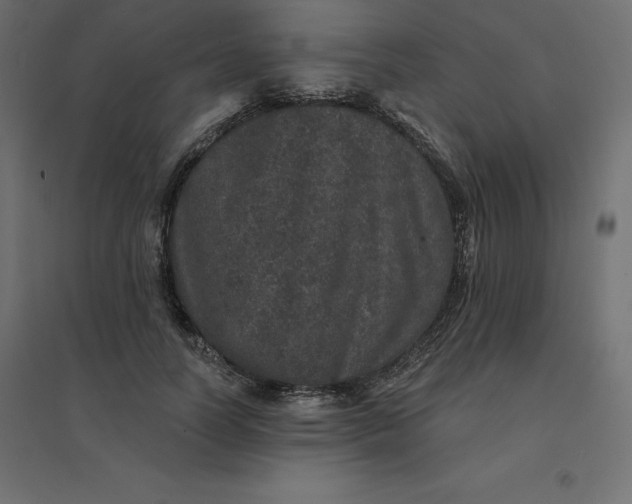 X0000094440746200711211455