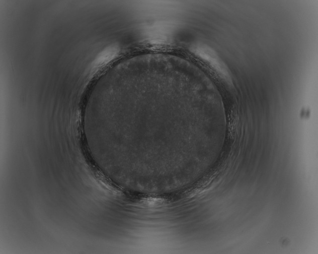 X0000094440748200711211455