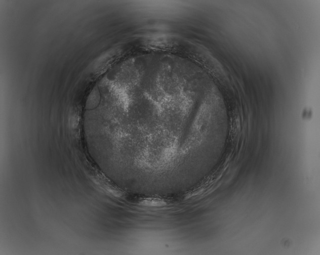 X0000094440749200711211455