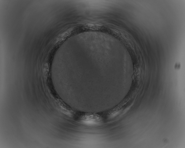 X0000094440752200711211456