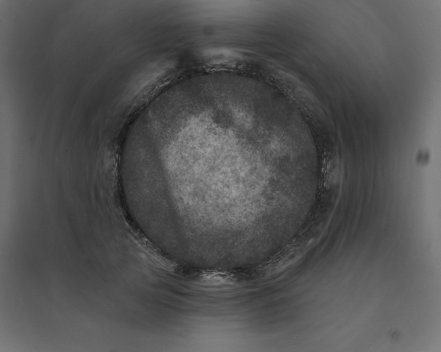 X0000094440753200711211456