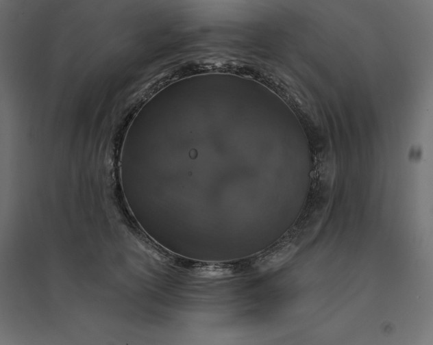 X0000094440754200711211456