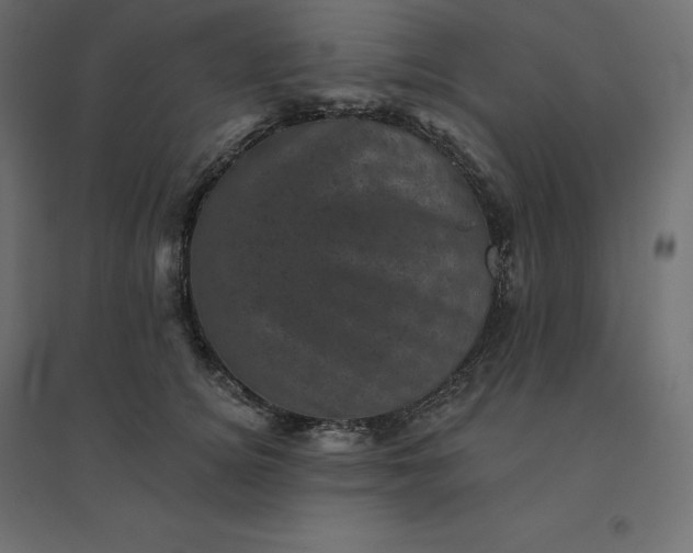 X0000094440756200711211456