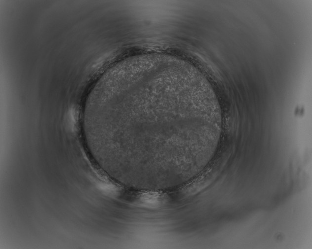 X0000094440757200711211456