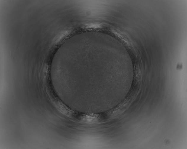 X0000094440758200711211456