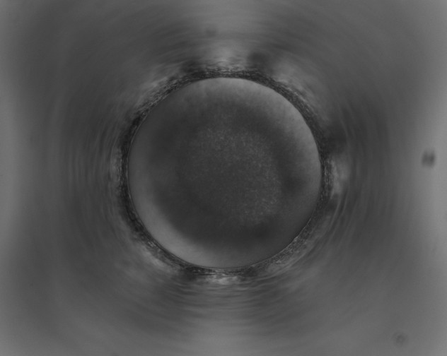 X0000094440760200711211456