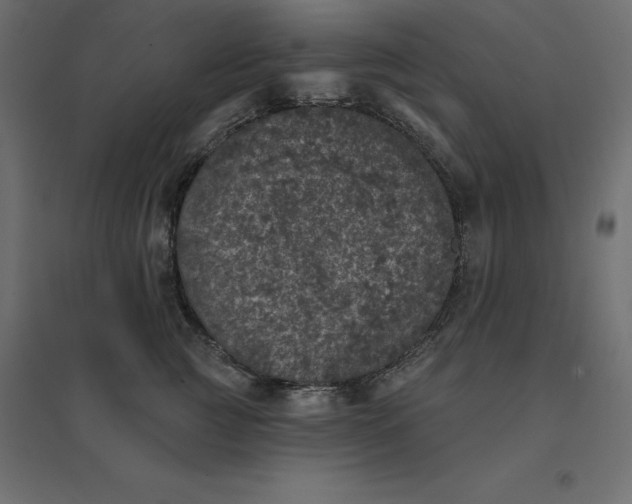 X0000094440761200711211456