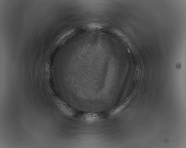 X0000094440762200711211456