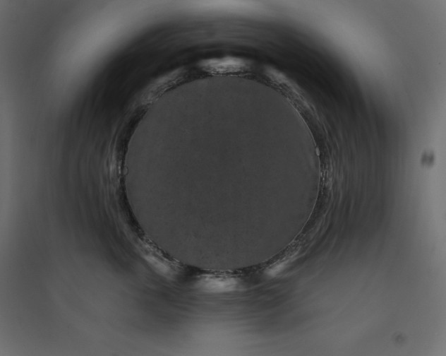 X0000094440763200711211456