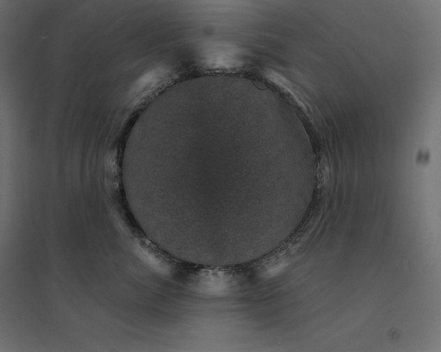 X0000094440764200711211456