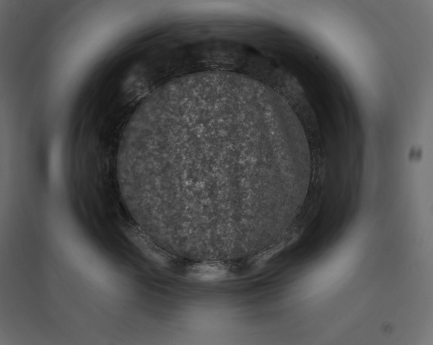 X0000094440765200711211456