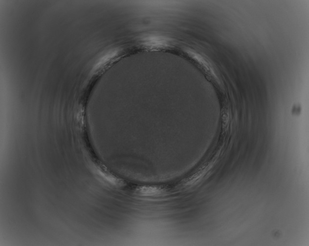 X0000094440766200711211456