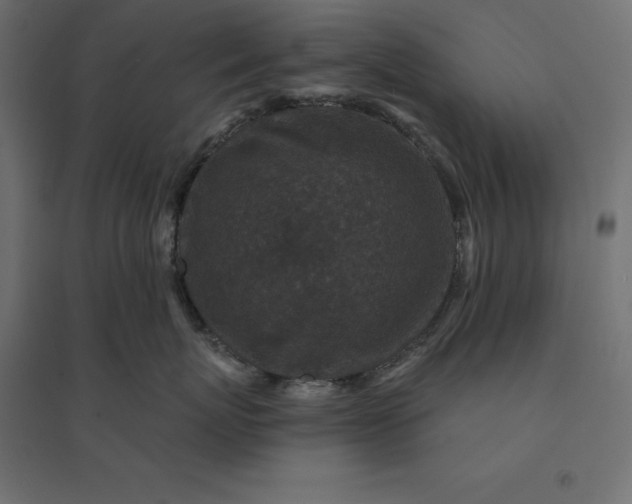 X0000094440767200711211456