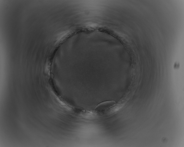 X0000094440768200711211456