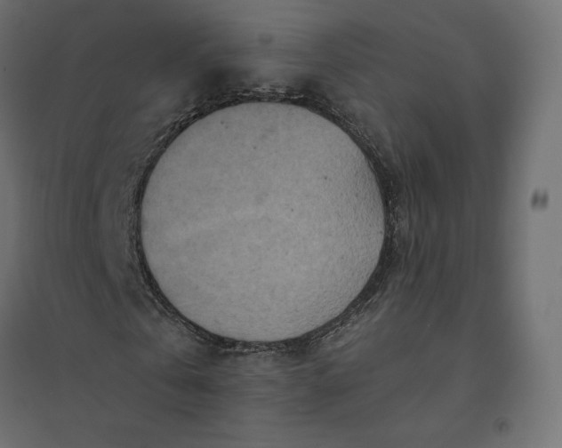 X0000094440769200711211455