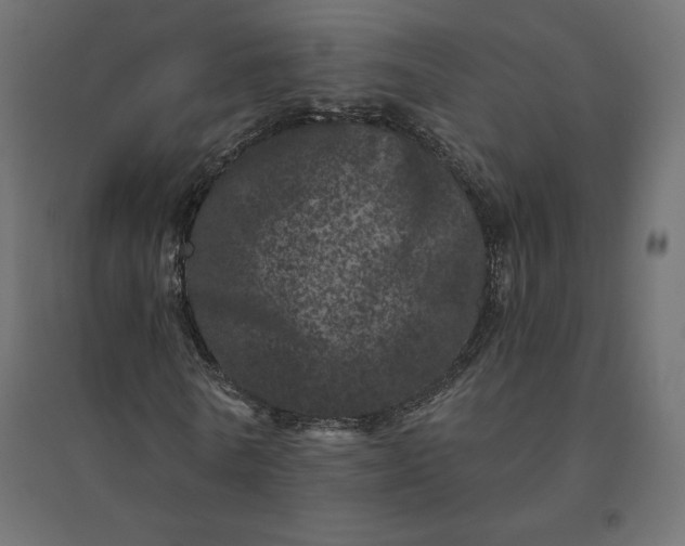 X0000094440770200711211455