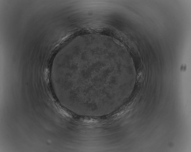 X0000094440772200711211455