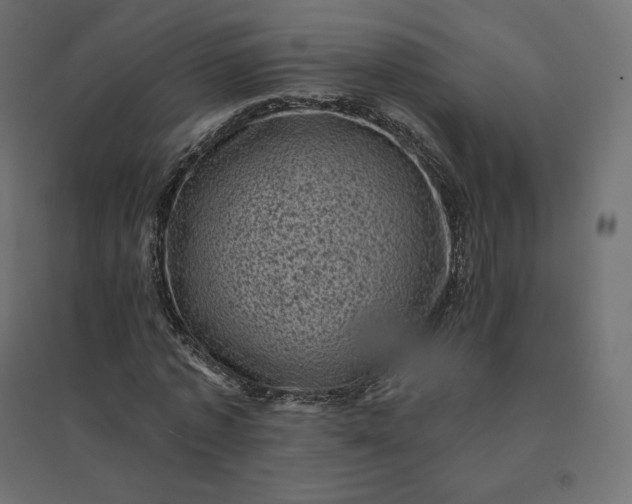 X0000094440773200711211455