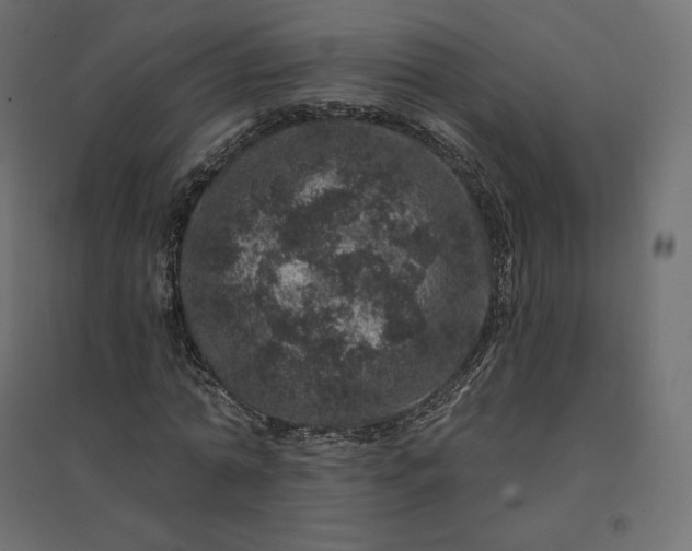 X0000094440774200711211455