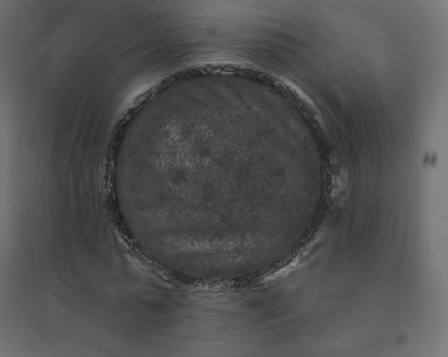 X0000094440775200711211455