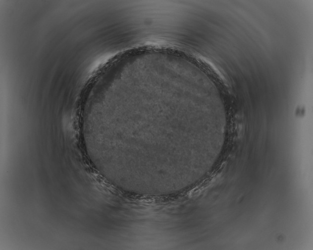 X0000094440776200711211455