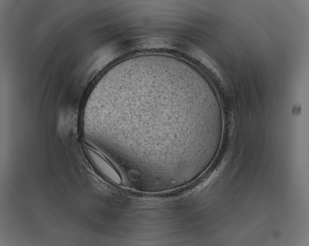 X0000094440777200711211455