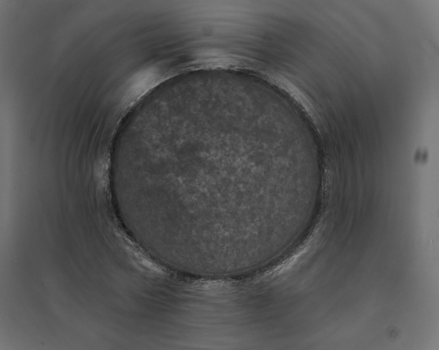 X0000094440778200711211455