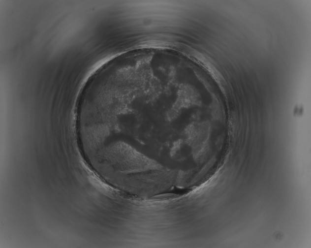 X0000094440779200711211455