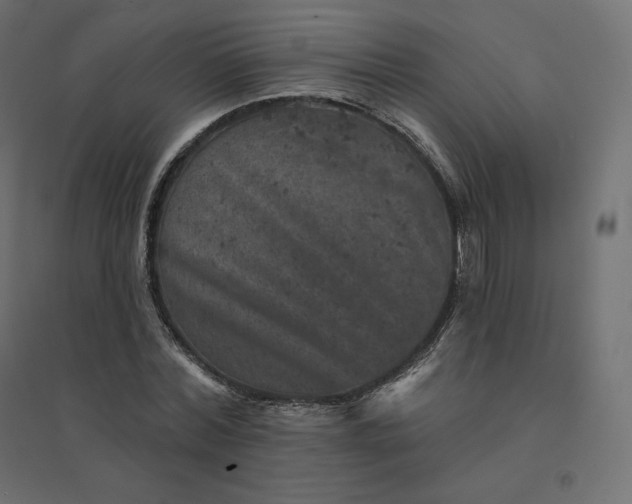 X0000094440780200711211455